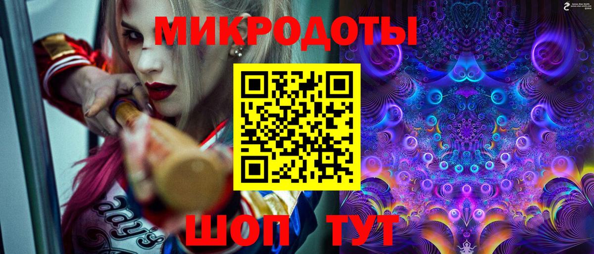 Псилоцибиновые грибы Psilocybe Жуковский