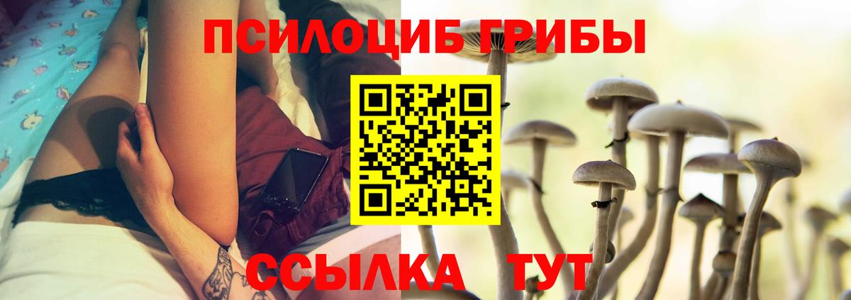 Галлюциногенные грибы Cubensis  Вход с VPN  Жуковский 